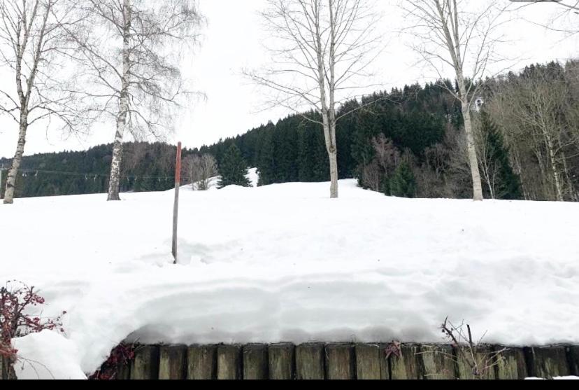 Fewo Alpenwiese Mit Hallenbad&Sauna Миссен-Вильхамс Экстерьер фото